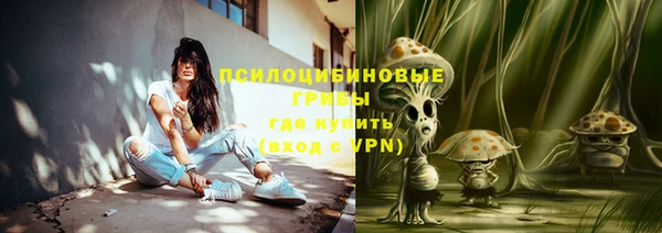 jwh Алзамай
